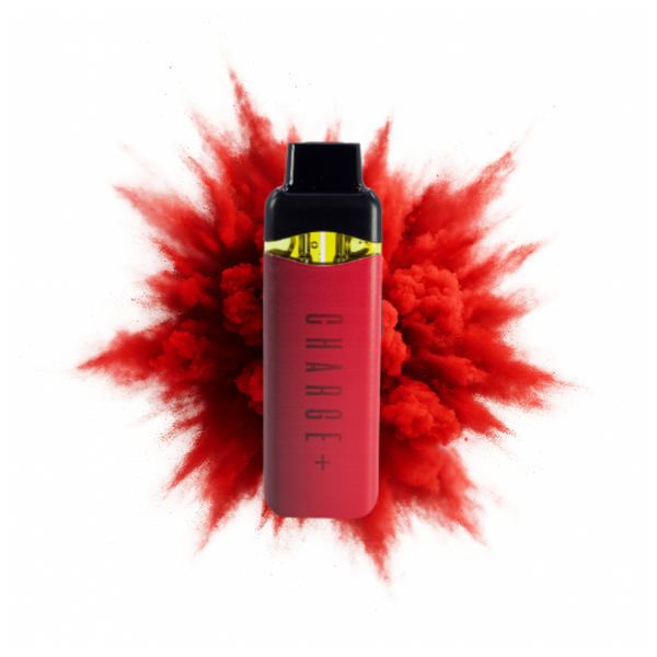 Strawberry Shortcake + Tropic Thunder