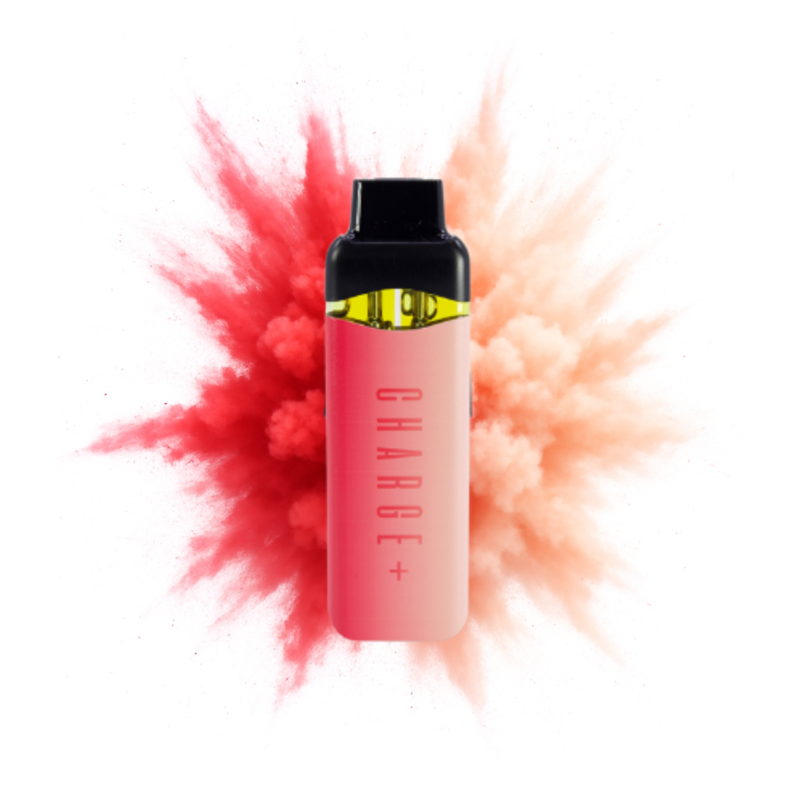 Georgia Pie + Watermelon Splash