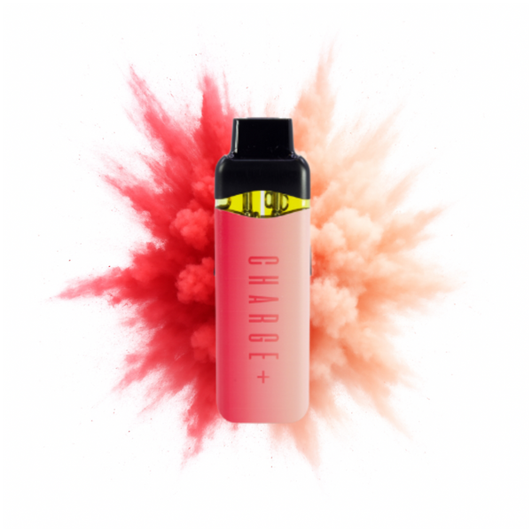 Georgia Pie + Watermelon Splash